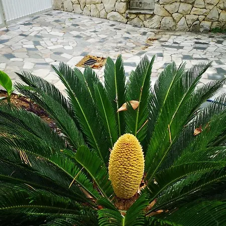 Apartman Meje Split